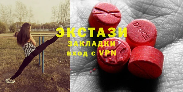 ECSTASY Богородицк